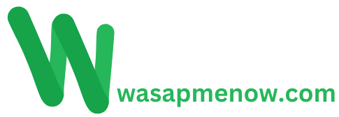 wasapmenow.com